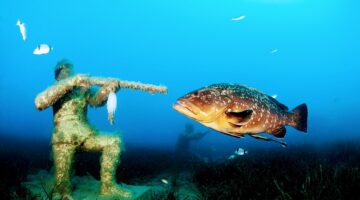 İzmirli su altı fotoğrafçısı dünya birincisi oldu
